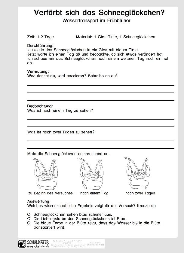 versuchsprotokoll experiment grundschule