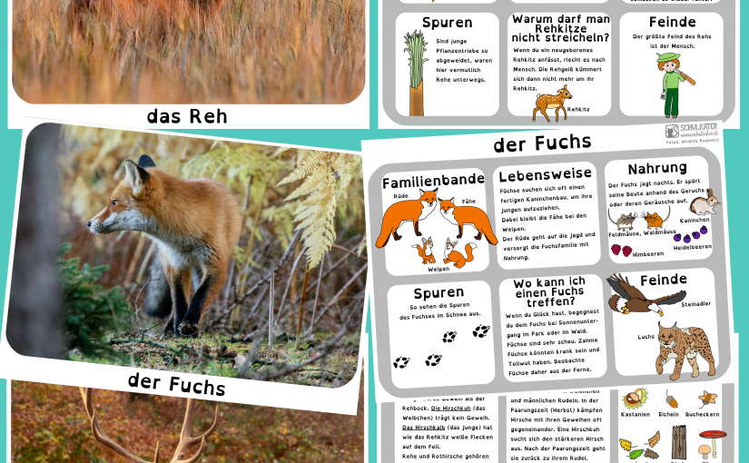 Ergänzende Karten zur Waldtierkartei: Fuchs, Reh und Rothirsch